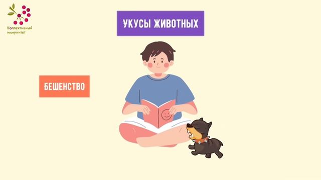 Пути передачи инфекций. Как инфекции попадают внутрь нашего организма? смотреть онлайн