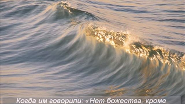 Салман аль Утайби الصافات 22 49 смотреть онлайн