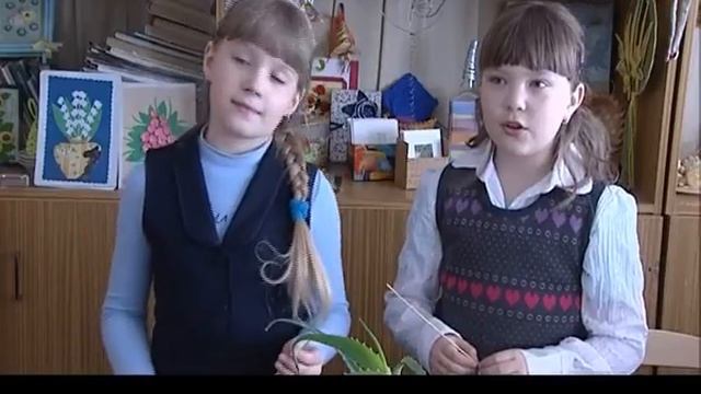 Экология и МЫ 08.05.2012 смотреть онлайн