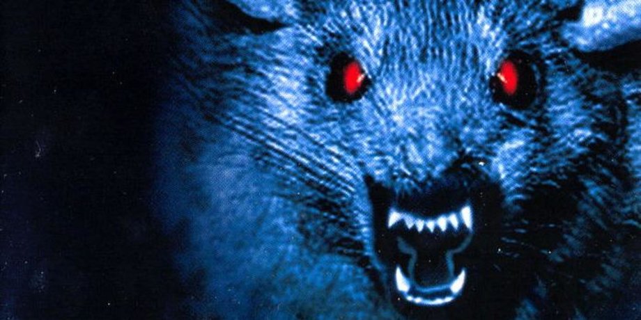 В царстве подвала