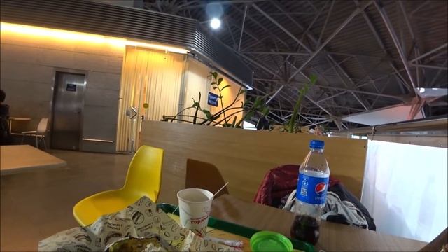 1. Я на нервах... Трудное возвращение в Индию. Рейс отменили, отель в Москве, что дальше? смотреть онлайн