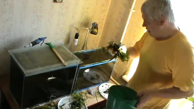 Промывка водорослей, мужик промывает водоросли в аквариуме — Геннадий Горин смотреть онлайн