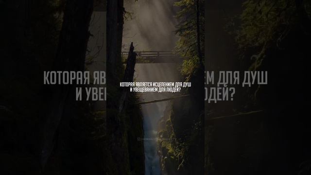 Награда за чтение Корана без понимания смысла. смотреть онлайн