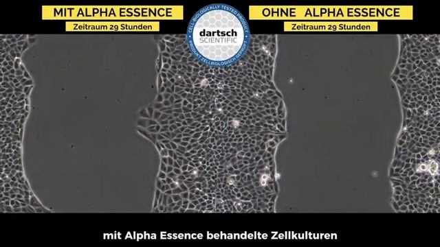 Сравнение воды Альфа Эссенции / Alpha Essence в лаборатории. Yanoli