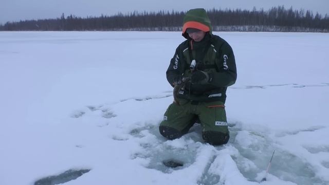ТАКОЕ НЕ ВОЗМОЖНО! МЕДВЕДЬ В ТАЙГЕ - ПРИВЕЗЛИ ЗАЩИТУ.Первый лед 2023-2024. Зимняя рыбалка. смотреть онлайн