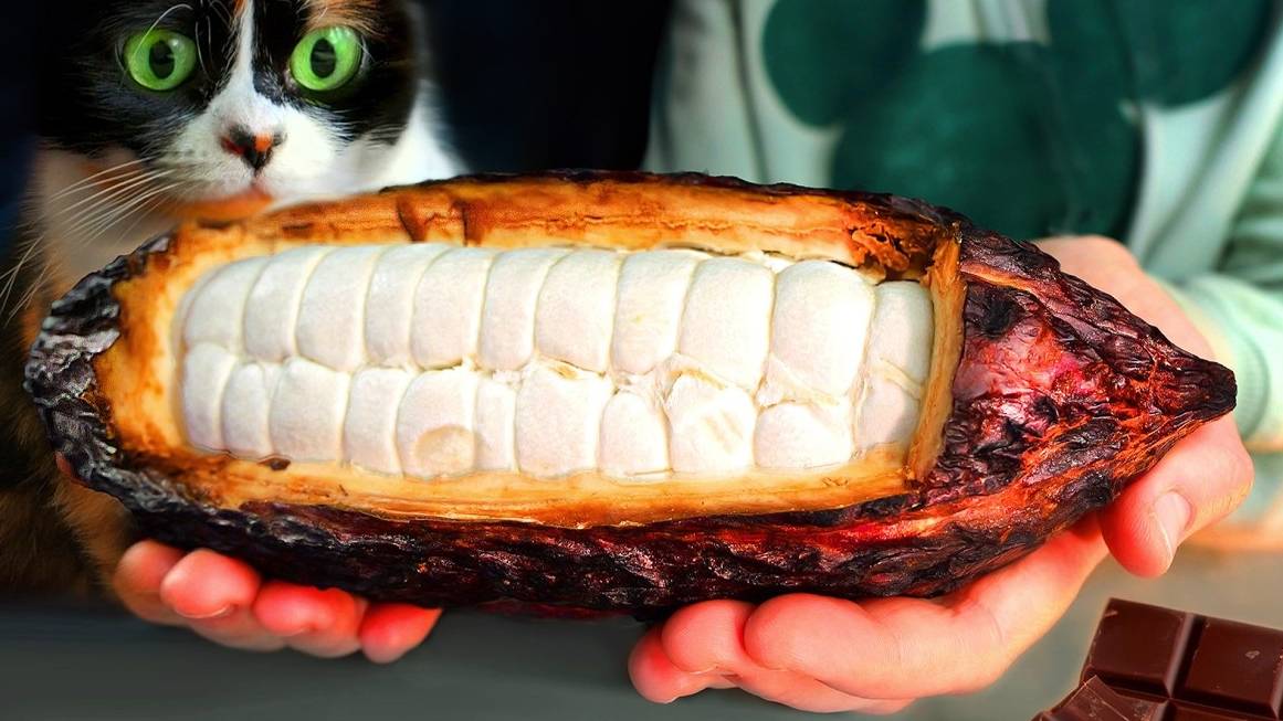 СДЕЛАЛ ШОКОЛАД С КАКАО-БОБА! смотреть онлайн