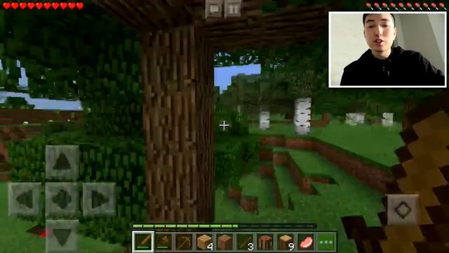 Do NOT Play Minecraft Pocket Edition at School.. смотреть онлайн