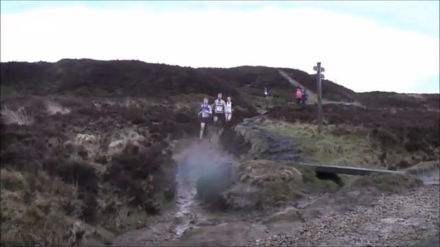 Bunny Run 2 2018 смотреть онлайн