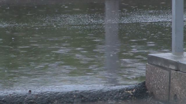 В главной библиотеке Саяногорска рушат стены и вскрывают полы смотреть онлайн