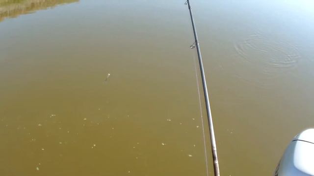 Август 2013, Ахтуба - Харабалык, Судачёк, Окунёк смотреть онлайн