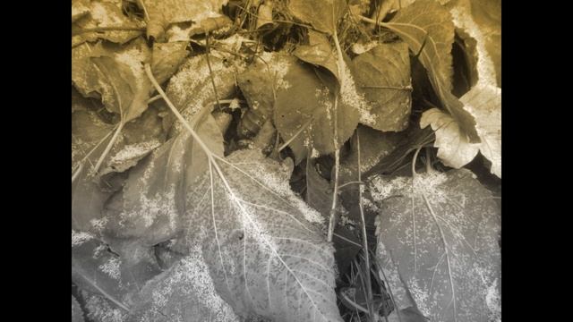 В.Железников. Чучело.  Часть 1