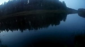 На Ниве по бездорожью. На рыбалку на Нейву. Посиделки у костра. Итог ночной рыбалки.