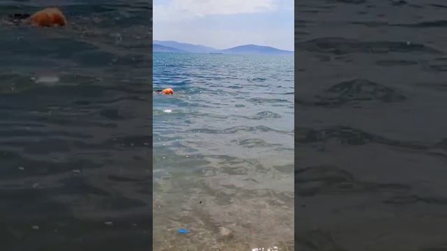 НА ЧЁРНОМ МОРЕ⚓🔥 ВИД ШИКАРНЫЙ НОВОРОССИЙСК НАЖИМАЙТЕ НА ЭКРАН ДВА РАЗА смотреть онлайн