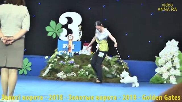 05 Лучший бейби ЗОЛОТЫЕ ВОРОТА 2018 Киев смотреть онлайн