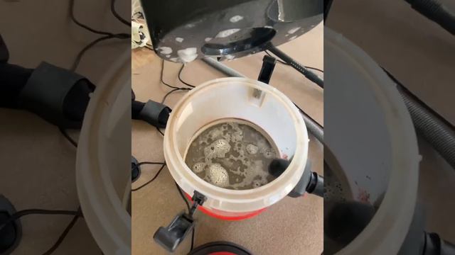 Химчистка мягкой мебели и ковров Воронеж смотреть онлайн