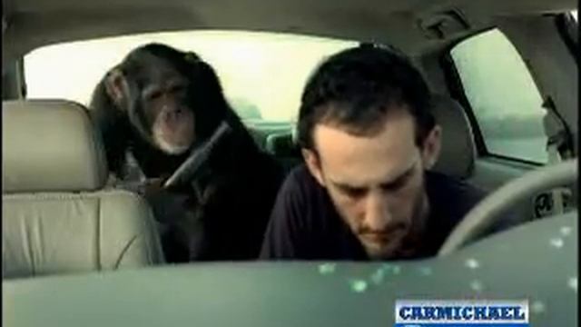 Carmichael Honda - Theft Retrieval - Trunk Monkey