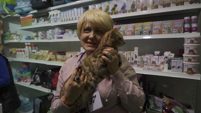 ЗООМИР Юга России 2019 смотреть онлайн