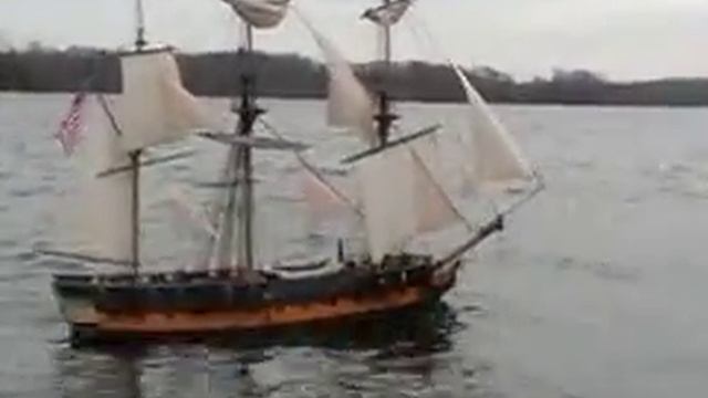 Surprise January 23rd.mpg смотреть онлайн