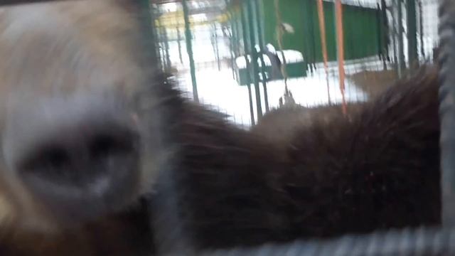 Малыши, качели восстановлены смотреть онлайн