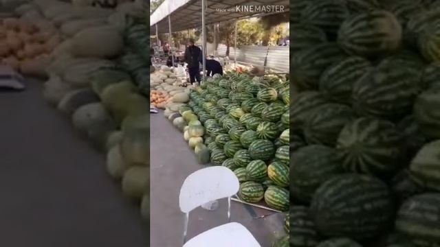 Узбекистан, Ташкент, Фархадский Базар. 2020.27.09 смотреть онлайн