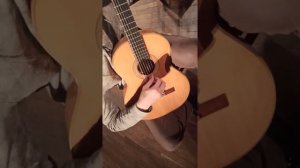 гитара мастера Косолапова 2