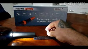 Garrett pro pointer VS Nokta Pointer !!!