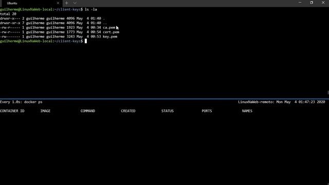 Liberando acesso remoto ao Docker (API) - 02 смотреть онлайн