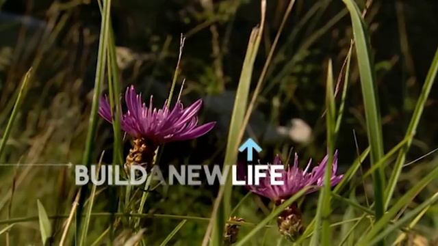 Build A New Life In The Country: Derelict House | History Documentary | Reel Truth History смотреть онлайн