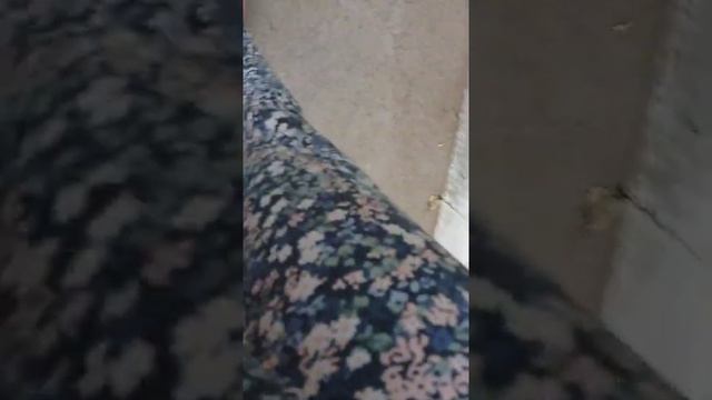 Это мой пиниборт!! смотреть онлайн