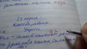 Проверяю рабочие тетради по русскому языку