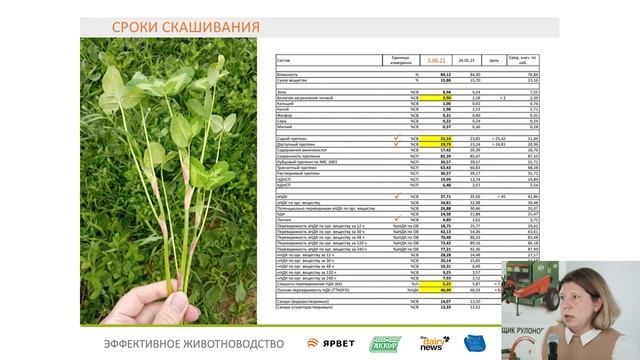 Семинар-совещание 