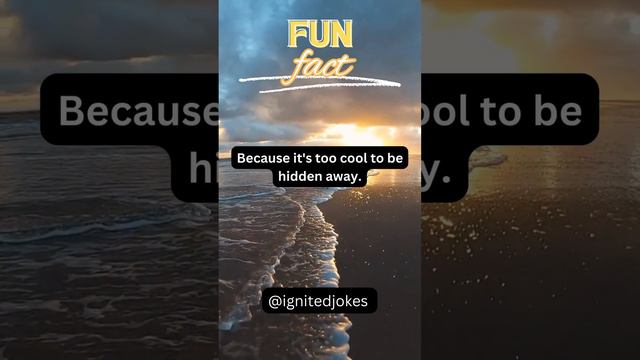 Sun Fun Fact - Ignited jokes смотреть онлайн