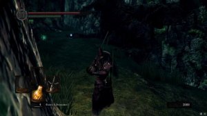 Dark Souls Remastered - Дракон-нежить (Долина Драконов)