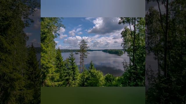 Я с тобой не побегу