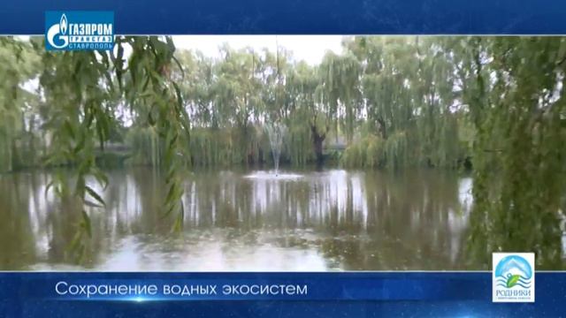 экологический ролик о проекте "Родник - жемчужины Кавказа" смотреть онлайн