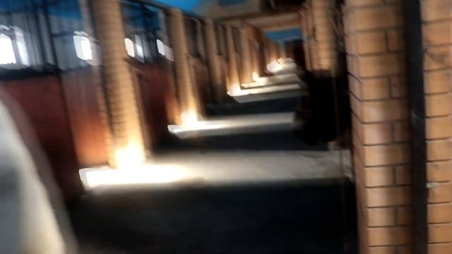 vlog: Знакомлю вас с моей лошадью смотреть онлайн