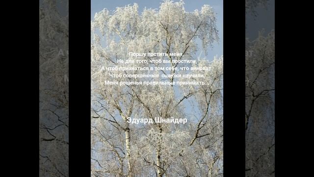 "Прошу меня простить..."Эдуард Шнайдер. Читает: автор.(стихи /мысли/ Книга-4 "Два выбора...")#short смотреть онлайн