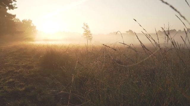 Музыка для крепкого сна и восстановления сил смотреть онлайн