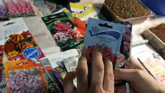Какие ЦВЕТЫ ПОСЕЯТЬ В ФЕВРАЛЕ ОБЯЗАТЕЛЬНО?САМЫЕ НЕПРИХОТЛИВЫЕ ЦВЕТЫ что сажать.mp4 смотреть онлайн