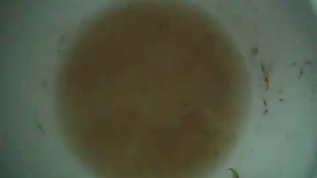 Куриные желудки тушёные с овощами в микроволновке