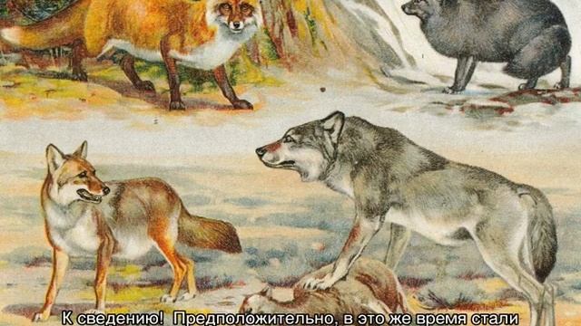 От кого произошли собаки на земле: история смотреть онлайн