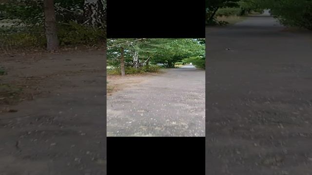 Катаемся на велосипедах в Подмосковье