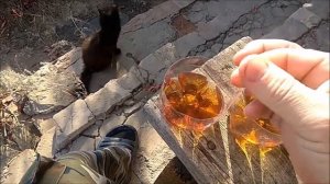 УАЗ ПАТРИОТ какое масло я залил в двигатель