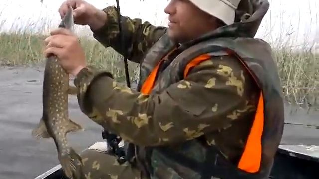 Астраханский Красавец! смотреть онлайн