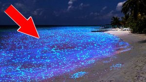 Реальный светящийся пляж.