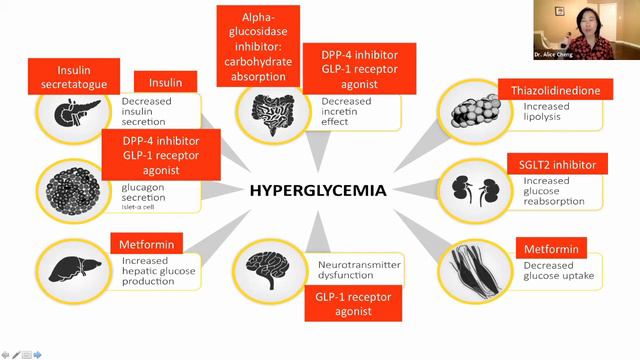 What is Diabetes? Presented by: Dr. Alice Cheng смотреть онлайн