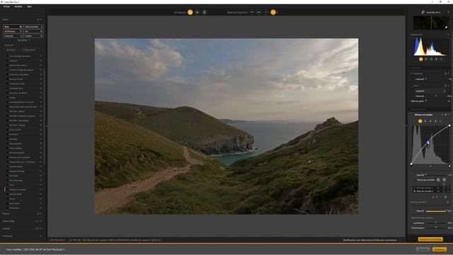 Nik collection 5 dossier complet détaillé Color Efex Pro 5 | Tutoriels Eddy Kinol смотреть онлайн