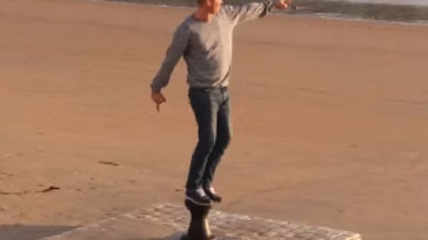 the blaze  : juvenile