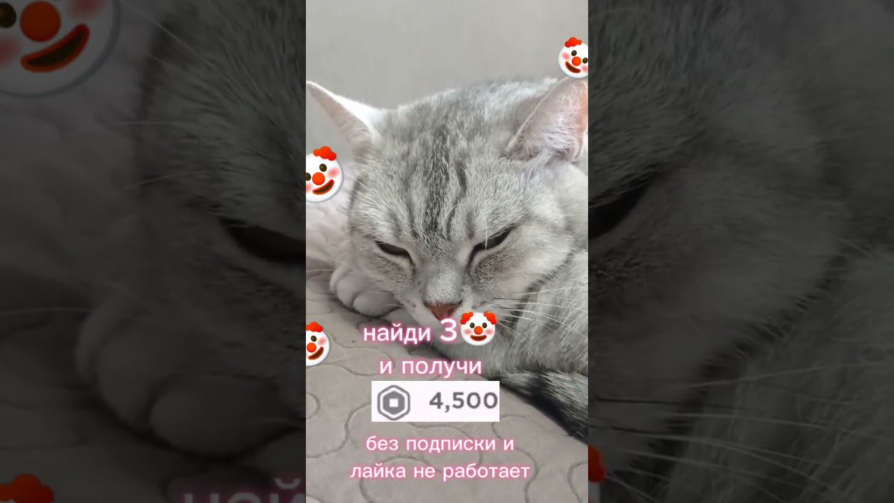 7 июня 2024 г. смотреть онлайн