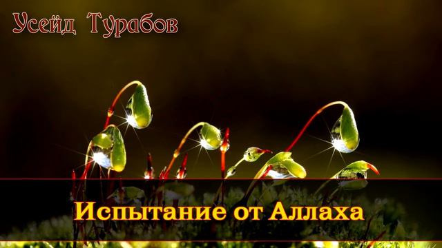 Очень сильный проповедь МашаАллах смотреть онлайн